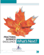Practising Business Excellence: What's Next? (free download)